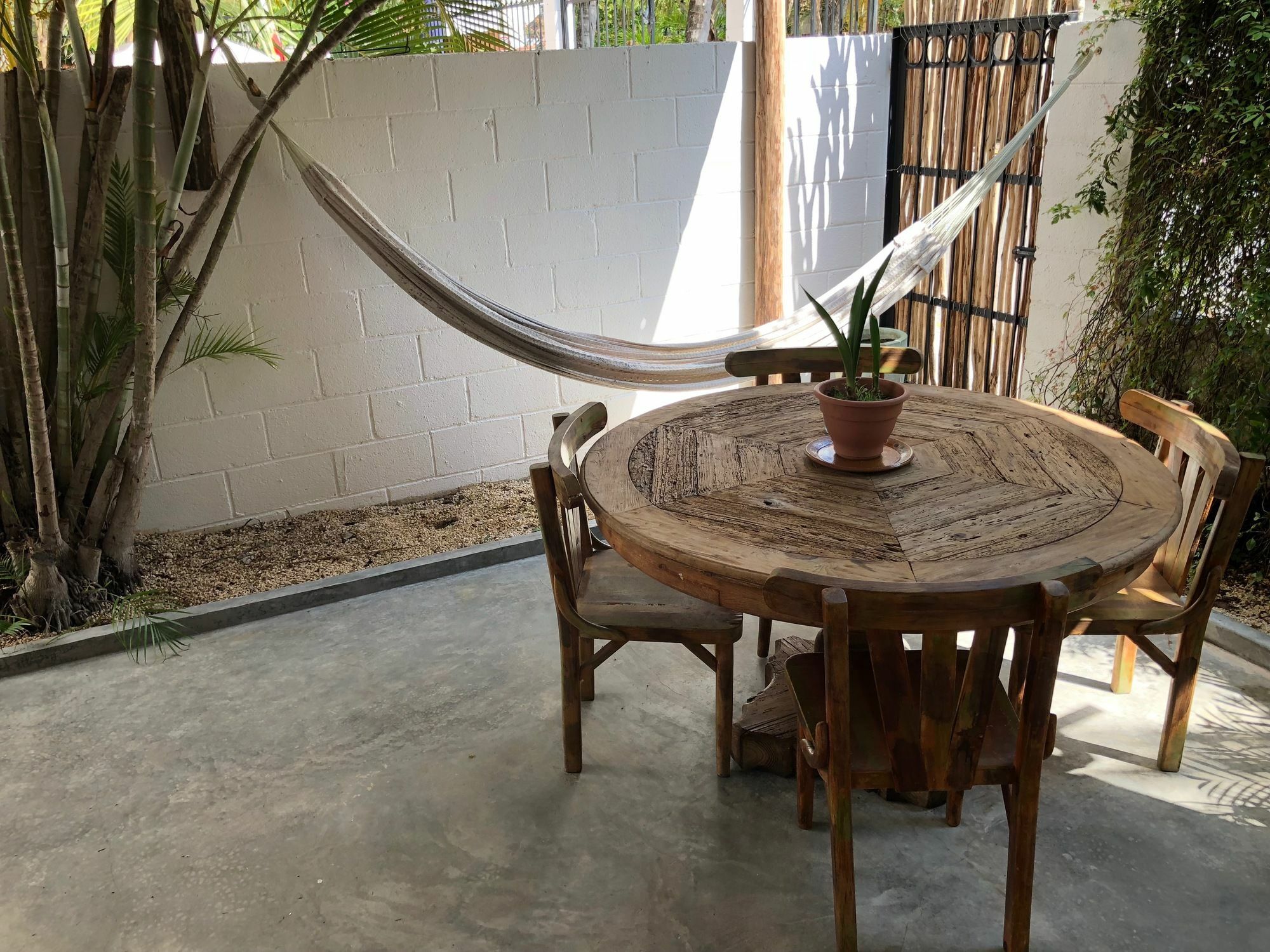 Casa La Palma B&B Playa del Carmen Esterno foto